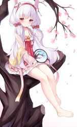 Rule 34 | 1girl, animal ears, azur lane, bare legs, barefoot, bell, blush, bow, branch, chinese clothes, closed mouth, commentary request, dress, fake animal ears, flower, full body, hair bell, hair bow, hair ornament, hairband, hanfu, highres, holding, holding mirror, irokari, jacket, jingle bell, laffey (azur lane), laffey (white rabbit welcomes the spring) (azur lane), long hair, long sleeves, looking at viewer, mirror, official alternate costume, pink flower, pink jacket, rabbit ears, red bow, red dress, red eyes, red hairband, simple background, sitting, sleeves past wrists, smile, solo, twintails, very long hair, white background, white hair