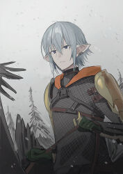 Rule 34 | 1boy, armor, blue eyes, chainmail, chihuri, ear piercing, final fantasy, final fantasy xiv, gloves, green gloves, grey hair, hair between eyes, haurchefant greystone, highres, holding, male focus, outdoors, overcast, pauldrons, piercing, pointy ears, reins, shoulder armor, sky, snowing, solo, tree, upper body