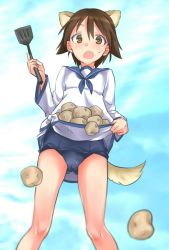 Rule 34 | 1girl, :o, animal ears, aohashi ame, blouse, blue neckerchief, blue sky, blurry, blurry foreground, brown eyes, brown hair, cloud, cloudy sky, commentary request, crotch seam, day, depth of field, gluteal fold, highres, holding, holding spatula, long sleeves, miyafuji yoshika, neckerchief, open mouth, outdoors, potato, sailor collar, school swimsuit, school uniform, shirt, shirt basket, short hair, sky, solo, spatula, strike witches, swimsuit, swimsuit under clothes, tail, thighs, white shirt, world witches series