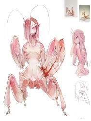 Rule 34 | 1girl, antennae, breasts, female focus, hair over one eye, highres, arthropod girl, monster girl, my700, nipples, original, personification, pointy ears, praying mantis, reference photo, small breasts, smile, solo