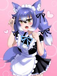 Rule 34 | 1girl, 3abw2, animal ears, apron, blue hair, bow, bowtie, dire wolf (kemono friends), extra ears, grey eyes, heart, highres, kemono friends, kemono friends v project, long hair, looking at viewer, maid, maid apron, maid headdress, pink background, ribbon, simple background, solo, tail, twintails, virtual youtuber, wolf ears, wolf girl, wolf tail