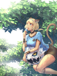 Rule 34 | 1girl, 2023, animal ear fluff, animal ears, artist name, adventurer (ff11), black choker, black shorts, blonde hair, blue eyes, blue shirt, bomb (final fantasy), breast rest, breasts, cactus41747280, cat ears, cat girl, cat tail, choker, collarbone, dated, final fantasy, final fantasy xi, food, hairband, hand up, highres, holding, holding food, holding ice cream, ice cream, ice cream cone, medium breasts, mithra (ff11), multicolored hairband, open mouth, shirt, short hair, short ponytail, short sleeves, shorts, solo, tail