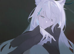 Rule 34 | 1girl, animal ear fluff, animal ears, black background, black dress, blue archive, blue eyes, breasts, closed mouth, cross hair ornament, crossed arms, dress, hair ornament, halo, heterochromia, highres, long hair, long sleeves, looking at viewer, medium breasts, shen (1542046839), shiroko (blue archive), shiroko terror (blue archive), solo, upper body, white hair, wolf ears