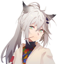Rule 34 | 1girl, animal ear fluff, animal ears, arknights, black shirt, closed mouth, food, food in mouth, green eyes, grey hair, hair between eyes, hair ornament, hairclip, high ponytail, highres, hua ye, jacket, lappland (arknights), long hair, looking at viewer, mouth hold, open clothes, open jacket, pocky, ponytail, scar, scar across eye, scar on face, shirt, smile, solo, upper body, white jacket