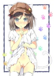 Rule 34 | 10s, 1girl, animal ears, animal hands, blush, border, brown hair, cat ears, cat tail, cleft of venus, clothes lift, dress, dress lift, female focus, finger to mouth, grey eyes, hat, hentai ouji to warawanai neko., lifted by self, looking at viewer, miyako tart, navel, no panties, outside border, paw print, paw print background, pussy, short hair, shushing, simple background, solo, standing, tail, thighhighs, third-party edit, tsutsukakushi tsukiko, uncensored, white background, white thighhighs