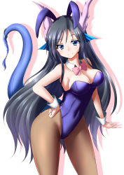 Rule 34 | 1girl, absurdres, animal ears, black hair, blue eyes, blush, bow, bowtie, breasts, cleavage, detached collar, dragon girl, dragon tail, fake animal ears, fins, head fins, highres, karin (p&amp;d), leotard, long hair, looking at viewer, minato yoshihiro, pantyhose, playboy bunny, puzzle &amp; dragons, rabbit ears, simple background, smile, solo, standing, tail, very long hair, wrist cuffs