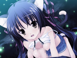 Rule 34 | 1girl, animal ears, black hair, breasts, brown eyes, cat ears, cat tail, censored, fang, game cg, hair ribbon, mimi wo sumaseba (eroge), mosaic censoring, naizuri, navel, nipples, oogami hinata, open mouth, paizuri, penis, ribbon, small breasts, smile, solo focus, source request, souryuu (double dragon), tail, twintails