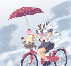 Rule 34 | 1girl, bag, bicycle, borusen, dickneck, disembodied head, handbag, mito kumi, rain, school uniform, smile, solo, umbrella