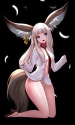 Rule 34 | 1girl, animal ear fluff, animal ears, bad id, bad pixiv id, between breasts, black background, blade &amp; soul, blue eyes, blunt bangs, breasts, dress shirt, ear piercing, feathers, full body, kneeling, large tail, long hair, naked shirt, navel, necktie, necktie between breasts, no bra, open clothes, open mouth, open shirt, panties, phonic, piercing, shirt, small breasts, solo, tail, thick thighs, thighs, underwear, white hair, white panties, white shirt