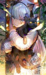 Rule 34 | 1girl, absurdres, aged down, animal, animal ears, apron, artist name, black apron, black cat, black hairband, black headwear, black ribbon, blue apron, blue flower, blush, cat, cat ears, closed mouth, commentary, cowboy shot, dress, english commentary, facial tattoo, flower, girls&#039; frontline, grey eyes, grey hair, hair flower, hair ornament, hair ribbon, hairband, hani haya, hat, highres, hk416 (black kitty&#039;s gift) (girls&#039; frontline), hk416 (girls&#039; frontline), holding, holding animal, holding cat, light particles, long hair, long sleeves, looking at viewer, mini hat, official alternate costume, plant, pleated dress, ribbon, smile, solo, tattoo, teardrop tattoo, watermark, white dress