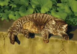 Rule 34 | animal, animal focus, cat, closed eyes, closed mouth, commentary, crack, day, full body, leaf, no humans, original, outdoors, pawpads, realistic, sadajiro, shadow, sleeping, solo, tabby cat