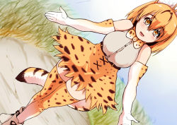 Rule 34 | 10s, 1girl, animal ears, bow, bowtie, cross-laced clothes, dirt road, elbow gloves, gloves, grass, high-waist skirt, isna (footprintsofisna), kemono friends, looking at viewer, road, serval (kemono friends), serval print, serval tail, shirt, skirt, sleeveless, sleeveless shirt, solo, striped tail, tail, yellow eyes
