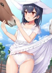 Rule 34 | 1girl, :d, animal, black hair, blush, brown eyes, cameltoe, clothes lift, cloud, collarbone, commentary request, cowboy shot, dress, dress lift, fence, frilled dress, frills, gluteal fold, groin, hair between eyes, hat, horse, idolmaster, idolmaster shiny colors, medium hair, morino rinze, open mouth, panties, short sleeves, sidelocks, sky, smile, solo, standing, torimaru, tree, underwear, white dress, white hat, white panties, wooden fence