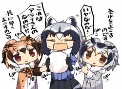 Rule 34 | 10s, 3girls, animal ears, black hair, brown eyes, common raccoon (kemono friends), cotton candy, eurasian eagle owl (kemono friends), expressionless, fluffy collar, food, grey hair, head wings, holding, holding food, kanikama, kemono friends, multicolored hair, multiple girls, northern white-faced owl (kemono friends), sweat, translated, white background, wings