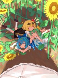 Rule 34 | 4girls, black dress, blue bow, blue dress, blue eyes, blue hair, blush, bow, cirno, closed eyes, collared dress, commentary request, daiyousei, dress, eyelashes, eyewear on head, flower, green eyes, green hair, hair bow, highres, ice, ice wings, kazami yuuka, long sleeves, looking at another, looking up, multiple girls, on person, one side up, open mouth, petals, pinafore dress, puffy short sleeves, puffy sleeves, red bow, red ribbon, ribbon, rumia, shadow, short hair, short sleeves, side ponytail, sidelocks, sleeveless dress, socks, standing, sunflower, sunglasses, tearing up, tears, teruteru (teru teru), touhou, white legwear, white sleeves, wings