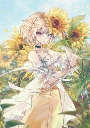 Rule 34 | bad id, bad twitter id, bandaged fingers, bandages, blue eyes, blue sky, blush, braid, breasts, choker, cleavage, cloud, collarbone, cowboy shot, day, dress, field, floating hair, flower, flower choker, flower field, french braid, hair ornament, heart, heart choker, heterochromia, highres, holding, holding flower, light particles, looking at viewer, medium breasts, mole, mole under mouth, open clothes, open dress, open mouth, original, outdoors, petals, red eyes, ribbon, see-through, short hair, sidelocks, sky, snow is, solo, star (symbol), star hair ornament, sunflower, sunflower field, twitter username, white dress, white ribbon, wind, wind lift, wrist ribbon, yellow dress