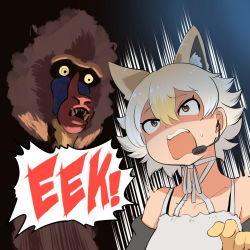 Rule 34 | 1girl, animal costume, animal ear fluff, animal ears, bare shoulders, black jacket, blonde hair, coyote (kemono friends), extra ears, gloves, highres, jacket, kemono friends, kemono friends v project, mcgunngu, microphone, open mouth, shirt, short hair, simple background, sweat, virtual youtuber, white shirt, wolf ears, yellow eyes, yellow gloves