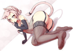 Rule 34 | 10s, 1girl, animal ears, arm support, ass, black gloves, blush, cat ears, cat tail, dutch angle, elbow gloves, final fantasy, final fantasy xiv, finger to mouth, garter straps, gloves, gradient background, heterochromia, lingerie, looking at viewer, lying, miqo&#039;te, on side, packge, pink eyes, pink hair, short hair, solo, strap slip, tail, thighhighs, underwear, warrior of light (ff14), yellow eyes