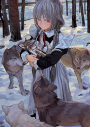 Rule 34 | animal, animal ears, apron, blush, braid, cat ears, dog, dress, feiqizi (fkey), fkey, forest, grey hair, highres, holding, holding animal, long hair, looking at viewer, maid, maid apron, nature, original, puppy, red eyes, scenery, snow, twintails, wolf