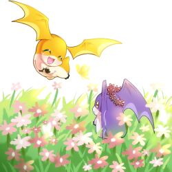 Rule 34 | closed eyes, digimon, flower, happy, head wings, looking at another, patamon, smile, tukaimon, wings