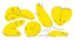 Rule 34 | animal focus, closed eyes, commentary, english commentary, from side, heart, looking up, lying, monochrome, mouse, mouse (animal), no humans, original, partially colored, rii abrego, signature, simple background, sleeping, too many, walking, white background, yellow theme