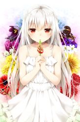 Rule 34 | 1girl, absurdres, albino, bare shoulders, carnation, chrysanthemum, collarbone, dress, floral background, flower, frilled dress, frills, highres, holding, holding flower, lily (flower), long hair, looking at viewer, open mouth, original, own hands together, pansy, red eyes, red flower, red pansy, satou saya, solo, sundress, sunflower, tulip, white dress, white hair