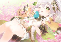 Rule 34 | 1girl, ;o, bird, bloomers, bracelet, cape, commentary request, detached sleeves, dress, field, flower, flower field, fox, genshin impact, gradient hair, green cape, green eyes, hair between eyes, hair ornament, highres, jewelry, kingyo (user xyuc7787), knees together feet apart, knees up, leaf hair ornament, long hair, looking at viewer, lying, multicolored hair, nahida (genshin impact), on back, one eye closed, outdoors, parted lips, pointy ears, rubbing eyes, short dress, short sleeves, side ponytail, sidelocks, sleepy, squirrel, streaked hair, symbol-shaped pupils, two-tone hair, underwear, waking up, white bloomers, white dress, white hair, yawning