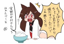 Rule 34 | 1girl, animal ears, bad id, bad twitter id, bowl, brown hair, d:, d:&lt;, doroame (ameyu), dress, imaizumi kagerou, long hair, open mouth, red eyes, simple background, sitting, touhou, translation request, v-shaped eyebrows, wariza, wolf ears
