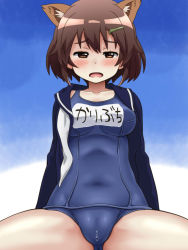 Rule 34 | 10s, 1girl, animal ear fluff, animal ears, awa, blush, brave witches, brown eyes, brown hair, cameltoe, clothes writing, hair ornament, hairclip, jacket, karibuchi hikari, looking at viewer, matching hair/eyes, old school swimsuit, one-piece swimsuit, open clothes, open jacket, open mouth, pussy juice, pussy juice drip through clothes, school swimsuit, short hair, solo, spread legs, swimsuit, swimsuit under clothes, track jacket, world witches series