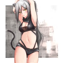 Rule 34 | 1girl, animal ears, arknights, armpits, arms up, bare shoulders, black shorts, blush, breasts, caraku, cat ears, cat tail, cleavage, commentary request, cowboy shot, crop top, hair between eyes, head tilt, long hair, looking at viewer, medium breasts, micro shorts, midriff, navel, schwarz (arknights), short shorts, shorts, silver hair, solo, standing, stomach, tail, thighs, very long hair, yellow eyes