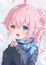 Rule 34 | 1girl, absurdres, ahoge, black shirt, blue archive, blue eyes, blue scarf, blush, fang, hair between eyes, halo, highres, hoshino (blue archive), long hair, long sleeves, open mouth, pink hair, pink halo, ponytail, puffy long sleeves, puffy sleeves, ratto (ratto channel), scarf, shirt, skin fang, smile, solo, upper body, yellow eyes