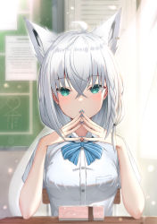 Rule 34 | 1girl, absurdres, ahoge, animal ear fluff, animal ears, backlighting, blue bow, blue bowtie, blue nails, blush, bow, bowtie, box, braid, breasts, chair, commentary, desk, earrings, english commentary, extra ears, fingers together, fox ears, fox girl, gift, gift box, green eyes, hair between eyes, highres, hololive, jewelry, long hair, looking at viewer, medium breasts, nail polish, rimamo, school chair, school desk, shirakami fubuki, shirt, short sleeves, sidelocks, single braid, sitting, solo, virtual youtuber, white hair, white shirt