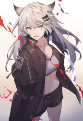 Rule 34 | 1girl, :d, animal ear fluff, animal ears, arknights, black jacket, black shorts, commentary, cowboy shot, crop top, gradient background, grey background, grey eyes, hair between eyes, hair ornament, hairclip, hand in pocket, hua ye, jacket, lappland (arknights), long hair, long sleeves, looking at viewer, midriff, navel, open clothes, open jacket, open mouth, scar, scar across eye, scar on face, short shorts, shorts, silver hair, smile, solo, standing, stomach, white background, wolf ears