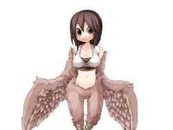Rule 34 | 1girl, bandeau, bird legs, blush, bmp-to-png conversion, breasts, brown bandeau, brown eyes, brown feathers, brown hair, brown wings, crop top, feathered wings, feathers, frfr, harpy, harpy twins (mon-musu quest!), long hair, looking at viewer, medium breasts, midriff, mon-musu quest!, monster girl, navel, non-web source, pina (mon-musu quest!), shirt, smile, solo, transparent background, white shirt, winged arms, wings
