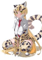Rule 34 | 1girl, absurdres, animal ear fluff, animal ears, animal print, between breasts, black hair, blonde hair, breasts, breasts squeezed together, closed mouth, clouded leopard (kemono friends), commentary, elbow gloves, extra ears, full body, gloves, green eyes, highres, kemono friends, large breasts, leopard ears, leopard girl, leopard print, leopard tail, long hair, looking at viewer, multicolored hair, necktie, necktie between breasts, ponytail, print gloves, print skirt, print thighhighs, red necktie, shirt, short sleeves, simple background, skirt, solo, squatting, tail, tanabe (fueisei), thighhighs, tiptoes, very long hair, white background, white hair, white shirt, zettai ryouiki