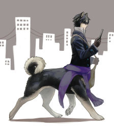 Rule 34 | 1boy, animal ears, bag, black fur, black gloves, black hair, black jacket, brown fur, closed mouth, curled tail, dog boy, dog ears, dog tail, full body, gloves, grey background, hair over eyes, hands up, high collar, holding, holding phone, honnomusi323, jacket, looking at object, looking at phone, male focus, monster boy, original, phone, satchel, short hair, solo, tail, taur, walking, white background