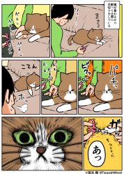 Rule 34 | 1boy, animal focus, applying manicure, applying pedicure, artist self-insert, black hair, cat, clipping nails, comic, commentary request, cuts, emphasis lines, injury, kounoike tsuyoshi, male focus, original, ponta (kounoike tsuyoshi), scissors, surprised, translation request, wide-eyed