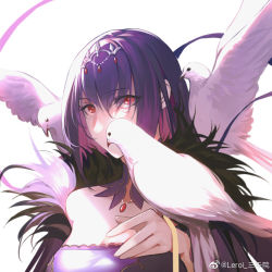 Rule 34 | 1girl, bad id, bad link, belt, bird, breasts, coat, fate/grand order, fate (series), hair ornament, jewelry, long hair, looking at viewer, necklace, pigeon, purple hair, red eyes, reroi, scathach (fate), scathach skadi (fate), simple background, solo, upper body, watermark, white background, white bird