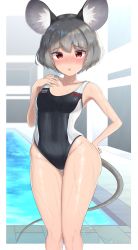 Rule 34 | 1girl, :o, absurdres, animal ears, bad id, bad pixiv id, blush, breasts, collarbone, commentary request, competition swimsuit, contrapposto, feet out of frame, furrowed brow, grey hair, hand on own chest, hand on own hip, highres, looking at viewer, mouse ears, mouse tail, nazrin, nose blush, one-piece swimsuit, open mouth, pool, red eyes, short hair, small breasts, solo, standing, swimsuit, tail, tojo aoi, touhou