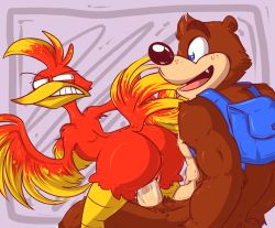 Rule 34 | ass, banjo-kazooie, banjo (banjo-kazooie), bear, bird, bird girl, cerealharem, erection, feathers, furry, furry female, furry male, furry with furry, interspecies, kazooie (banjo-kazooie), outside border, penis, red feathers, sex, snout, thick eyebrows, toon (style), uncensored, vaginal, wide hips, yellow feathers