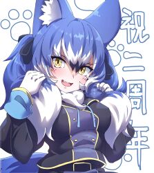 Rule 34 | 1girl, absurdres, animal ears, anniversary, belt, blue hair, bow, bowtie, dire wolf (kemono friends), extra ears, gloves, highres, jacket, kemono friends, kemono friends v project, long hair, looking at viewer, lowlandgorilla, ribbon, scarf, simple background, skirt, solo, tail, twintails, upper body, virtual youtuber, wolf ears, wolf girl, wolf tail, yellow eyes