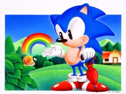 Rule 34 | 1boy, black eyes, blue fur, blue sky, bmp-to-png conversion, closed umbrella, day, gloves, holding, holding umbrella, male focus, mountain, non-web source, official art, rainbow, red footwear, red umbrella, shoes, sky, snail, sonic (series), sonic the hedgehog, tree, umbrella, white gloves