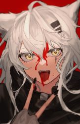 Rule 34 | 1girl, :d, animal ears, arknights, black jacket, black nails, blood, blood on face, fangs, fingerless gloves, gloves, grey gloves, grey hair, hair between eyes, hair ornament, hairclip, highres, jacket, lappland (arknights), long hair, nail polish, open mouth, red background, scar, scar across eye, senjou no pentsu, simple background, smile, solo, upper body, v, yellow eyes