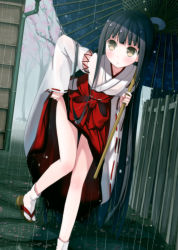 Rule 34 | 1girl, bad id, bad pixiv id, black hair, blunt bangs, blush, bow, breasts, brown eyes, cherry blossoms, chm (macharge), clothes lift, detached sleeves, fence, full body, gutter, hakama, hakama lift, hakama skirt, hip vent, holding, japanese clothes, leaning forward, leg up, legs, lifting own clothes, long hair, long sleeves, looking to the side, miko, oil-paper umbrella, original, outdoors, over shoulder, parted lips, petals, rain, red hakama, ribbon-trimmed sleeves, ribbon trim, sandals, sash, shoe dangle, sidelocks, skirt, small breasts, solo, stone floor, tabi, thigh gap, tree, umbrella, very long hair, wide sleeves, yellow eyes