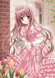 Rule 34 | 1girl, :d, brown eyes, brown hair, chin strap, dress, flower, frilled dress, frills, garden, holding, leaning forward, lolita fashion, long hair, long sleeves, looking at viewer, open mouth, original, pink dress, ribbon-trimmed clothes, ribbon trim, smile, solo, sweet lolita, tulip, very long hair, watering can, window, yukiwo