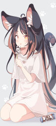 Rule 34 | 1girl, ahoge, animal ear fluff, animal ears, barefoot, black hair, blush, brown eyes, brown hair, commentary request, daidai ookami, food, full body, grey background, highres, holding, holding food, ice cream, long hair, looking at viewer, multicolored hair, original, parted bangs, paw print, paw print background, seiza, shadow, shirt, short sleeves, simple background, sitting, solo, tail, tail raised, tongue, tongue out, two-tone hair, very long hair, white shirt