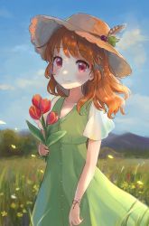Rule 34 | 1girl, absurdres, aikatsu!, aikatsu! (series), blush, bug, butterfly, cloud, cloudy sky, day, dress, flower, grass, hair down, hat, hat feather, hat leaf, highres, holding, holding flower, insect, mountain, nature, ogura (sao no), ozora akari, orange hair, outdoors, petals, red eyes, scenery, short sleeves, sky, smile, solo, straw hat, tree, tulip, wind