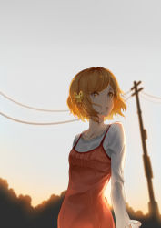 Rule 34 | 1girl, akagi mako, arms at sides, bad id, bad pixiv id, ballroom e youkoso, braid, brown eyes, brown hair, butterfly hair ornament, dress, grey sky, hair ornament, highres, kinhasu, looking to the side, outdoors, power lines, red dress, short hair, sky, solo, standing, twilight