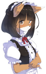 Rule 34 | 1girl, animal ears, apron, black hair, braid, brown eyes, buttons, center frills, closed mouth, commentary request, crossed arms, dress, flying sweatdrops, fox ears, fox girl, french braid, frills, furry, furry female, looking at viewer, maid, maid apron, maid headdress, neck ribbon, original, puffy short sleeves, puffy sleeves, red ribbon, ribbon, short hair, short sleeves, simple background, solo, upper body, waist apron, white background, yuki arare