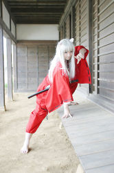 Rule 34 | cosplay, inuyasha, inuyasha (character), mizuhara arisa, photo (medium), tagme